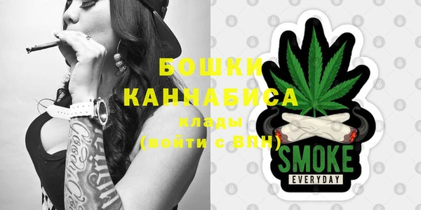 ECSTASY Гусь-Хрустальный