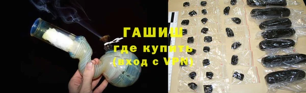 ECSTASY Гусь-Хрустальный
