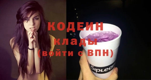 ECSTASY Гусь-Хрустальный