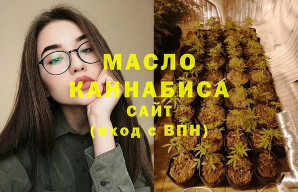 ECSTASY Гусь-Хрустальный