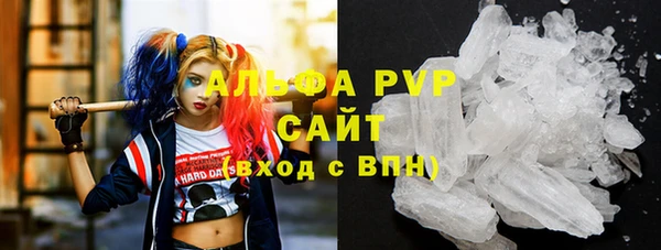 ECSTASY Гусь-Хрустальный