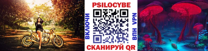 Псилоцибиновые грибы мицелий  Купить закладки  Славск 